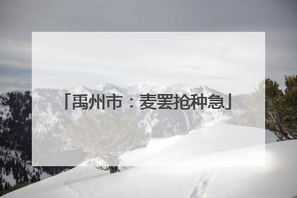 禹州市：麦罢抢种急