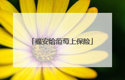 福安给葡萄上保险
