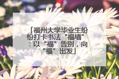 福州大学毕业生纷纷打卡书法“福墙”：以“福”告别，向“福”出发