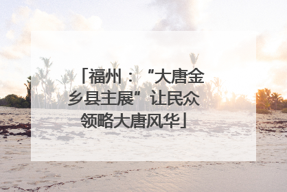 福州：“大唐金乡县主展”让民众领略大唐风华