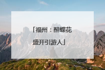 福州：醉蝶花盛开引游人