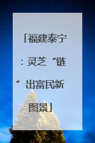 福建泰宁：灵芝“链”出富民新图景