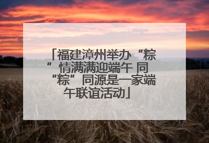 福建漳州举办“粽”情满满迎端午 同“粽”同源是一家端午联谊活动