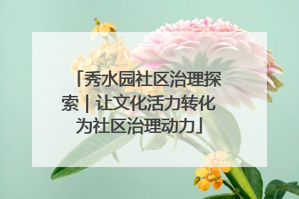秀水园社区治理探索｜让文化活力转化为社区治理动力