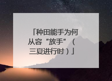 种田能手为何从容“放手”（三夏进行时）