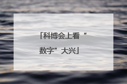 科博会上看“数字”大兴