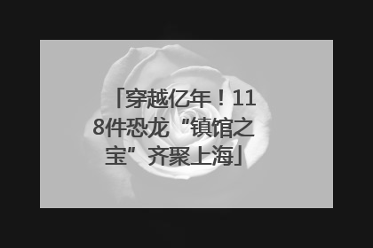 穿越亿年！118件恐龙“镇馆之宝”齐聚上海