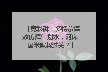 竞彩湃｜多特蒙德效仿拜仁划水，河床国米默契过关？