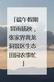 端午假期冒雨插秧，张家界黄龙洞景区生态田园农事忙