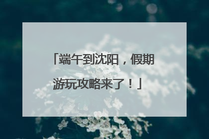 端午到沈阳，假期游玩攻略来了！