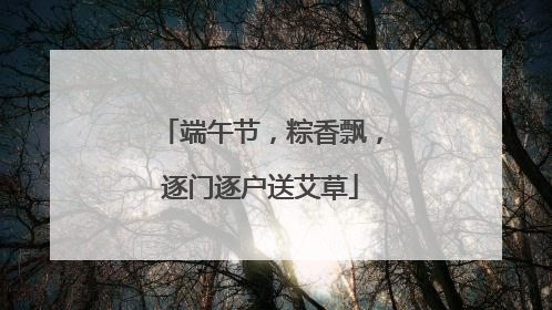 端午节，粽香飘，逐门逐户送艾草