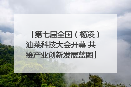 第七届全国（杨凌）油菜科技大会开幕 共绘产业创新发展蓝图
