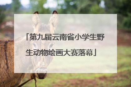 第九届云南省小学生野生动物绘画大赛落幕