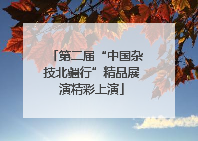 第二届“中国杂技北疆行”精品展演精彩上演