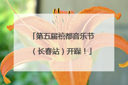 第五届禧都音乐节（长春站）开躁！