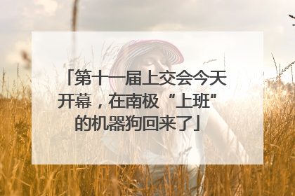 第十一届上交会今天开幕，在南极“上班”的机器狗回来了