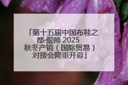第十五届中国布鞋之都·偃师 2025 秋冬产销（国际贸易）对接会隆重开幕