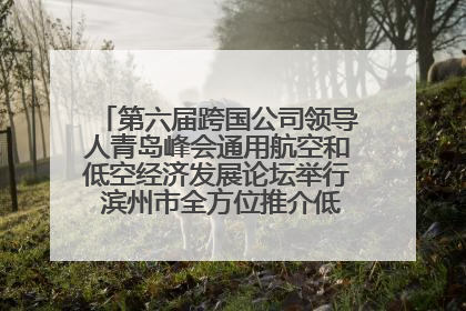 第六届跨国公司领导人青岛峰会通用航空和低空经济发展论坛举行 滨州市全方位推介低空经济发展优势