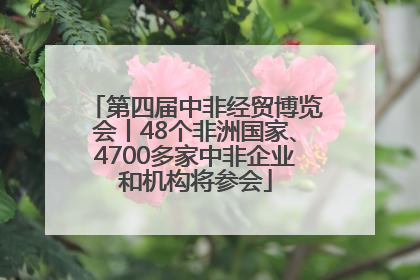 第四届中非经贸博览会丨48个非洲国家、4700多家中非企业和机构将参会