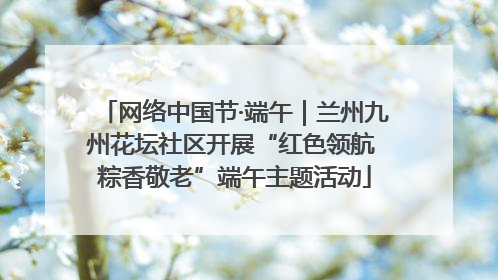 网络中国节·端午｜兰州九州花坛社区开展“红色领航 粽香敬老”端午主题活动