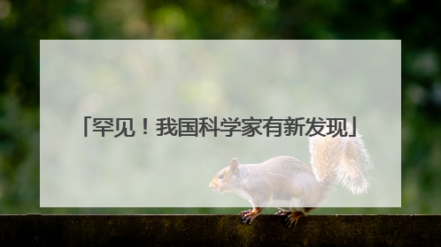 罕见！我国科学家有新发现