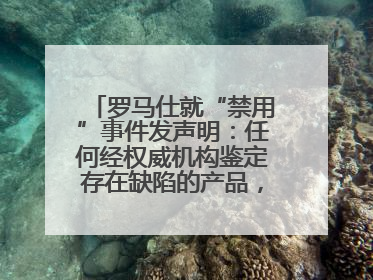 罗马仕就“禁用”事件发声明：任何经权威机构鉴定存在缺陷的产品，将依法负全责