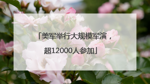 美军举行大规模军演，超12000人参加
