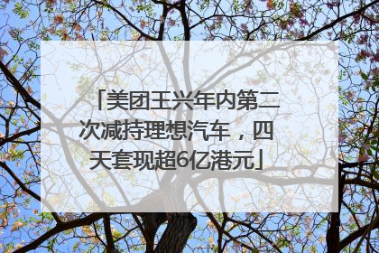 美团王兴年内第二次减持理想汽车，四天套现超6亿港元