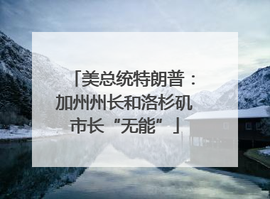 美总统特朗普：加州州长和洛杉矶市长“无能”
