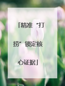 精准“打捞”锁定核心证据