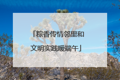 粽香传情邻里和 文明实践暖端午