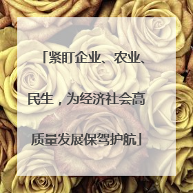 紧盯企业、农业、民生，为经济社会高质量发展保驾护航
