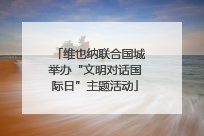 维也纳联合国城举办“文明对话国际日”主题活动