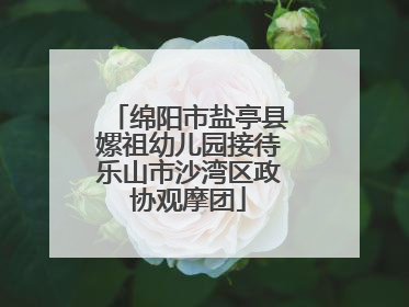 绵阳市盐亭县嫘祖幼儿园接待乐山市沙湾区政协观摩团