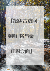 绍伊古访问朝鲜 将与金正恩会面