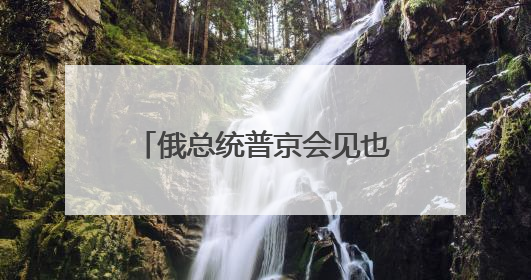 俄总统普京会见也门领导人 将讨论政治及地区热点议题
