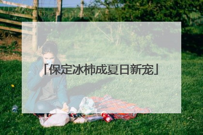 保定冰柿成夏日新宠