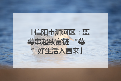 信阳市浉河区：蓝莓串起致富链 “莓”好生活入画来