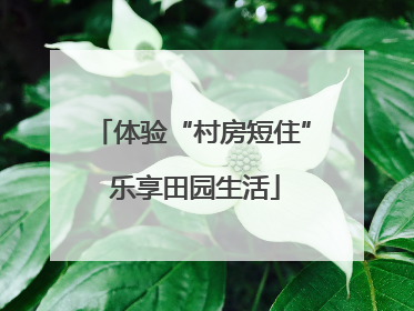 体验“村房短住” 乐享田园生活