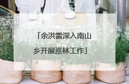 余洪雷深入南山乡开展巡林工作