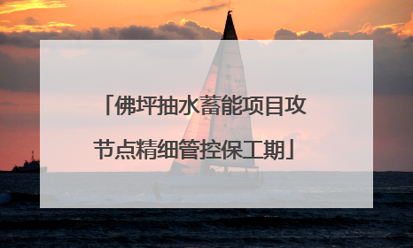 佛坪抽水蓄能项目攻节点精细管控保工期