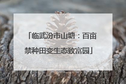 临武汾市山塘：百亩禁种田变生态致富园