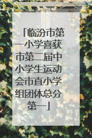 临汾市第一小学喜获市第二届中小学生运动会市直小学组团体总分第一