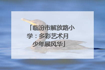 临汾市解放路小学：多彩艺术月 少年展风华