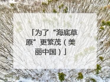 为了“海底草原”更繁茂（美丽中国）