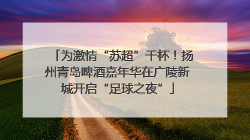 为激情“苏超”干杯！扬州青岛啤酒嘉年华在广陵新城开启“足球之夜”