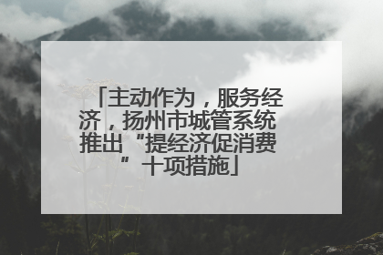 主动作为，服务经济，扬州市城管系统推出“提经济促消费”十项措施