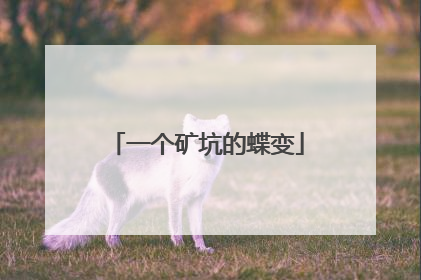 一个矿坑的蝶变