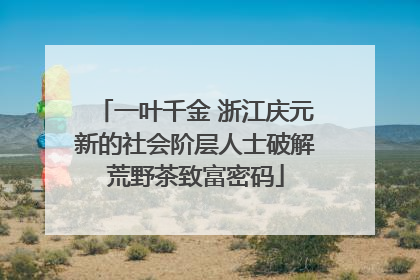 一叶千金 浙江庆元新的社会阶层人士破解荒野茶致富密码