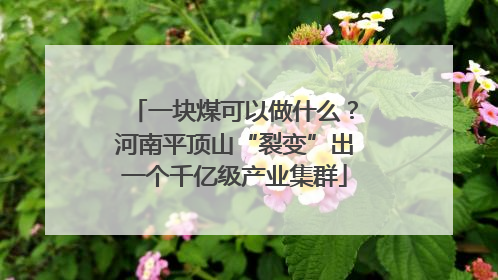 一块煤可以做什么？河南平顶山“裂变”出一个千亿级产业集群